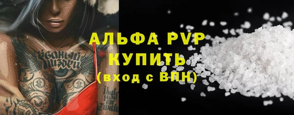 СК Ельня