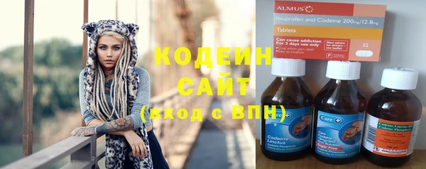 СК Ельня