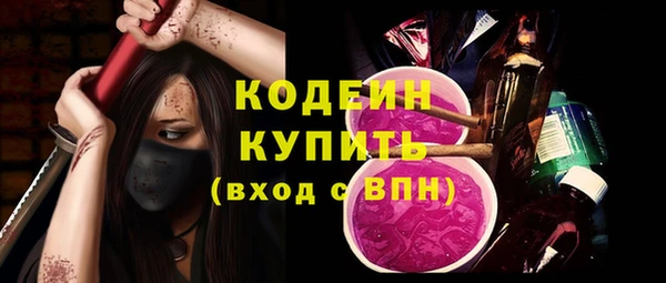 СК Ельня