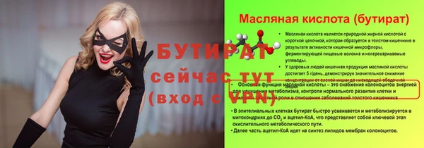 СК Ельня