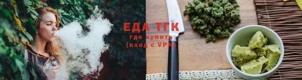 СК Ельня