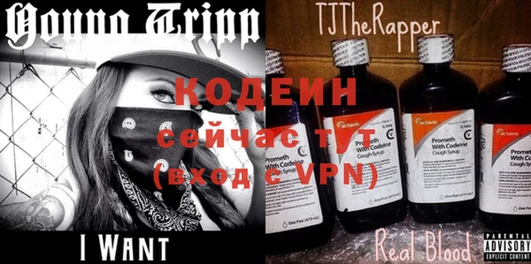 СК Ельня