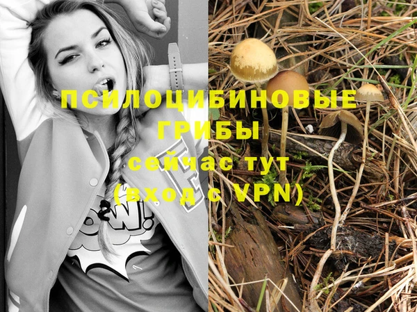 ПСИЛОЦИБИНОВЫЕ ГРИБЫ Елизово