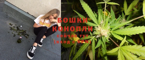 прущая мука Пересвет