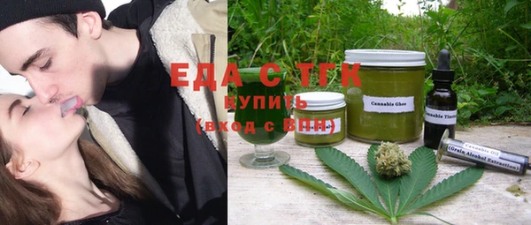 СК Ельня