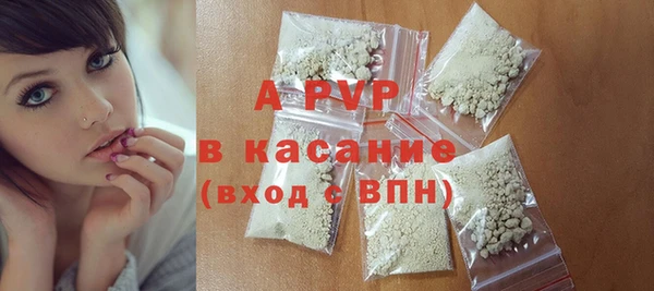 амф Пестово
