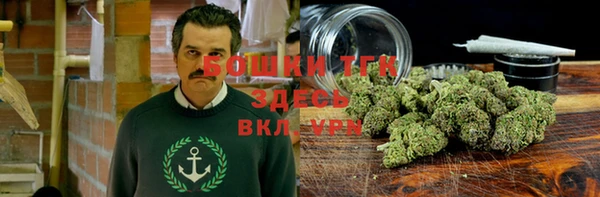 ПСИЛОЦИБИНОВЫЕ ГРИБЫ Елизово
